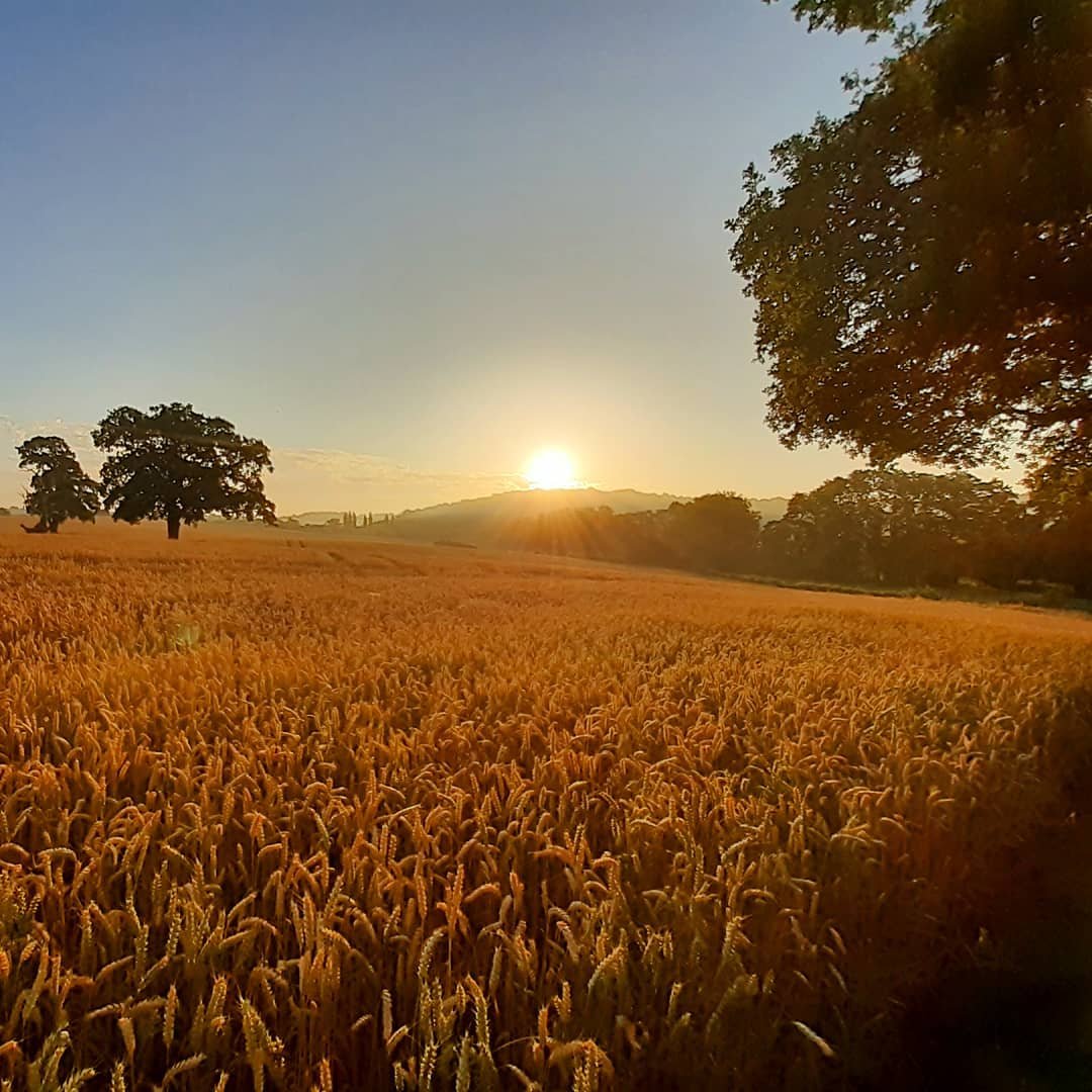 @simongwynroberts Offas Dyke