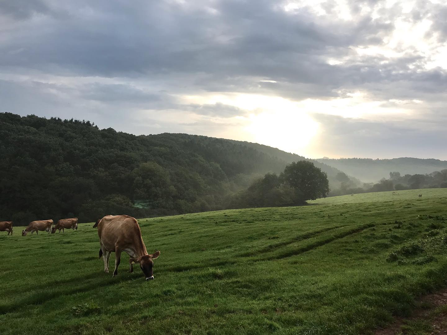 View at Brooke's Dairy