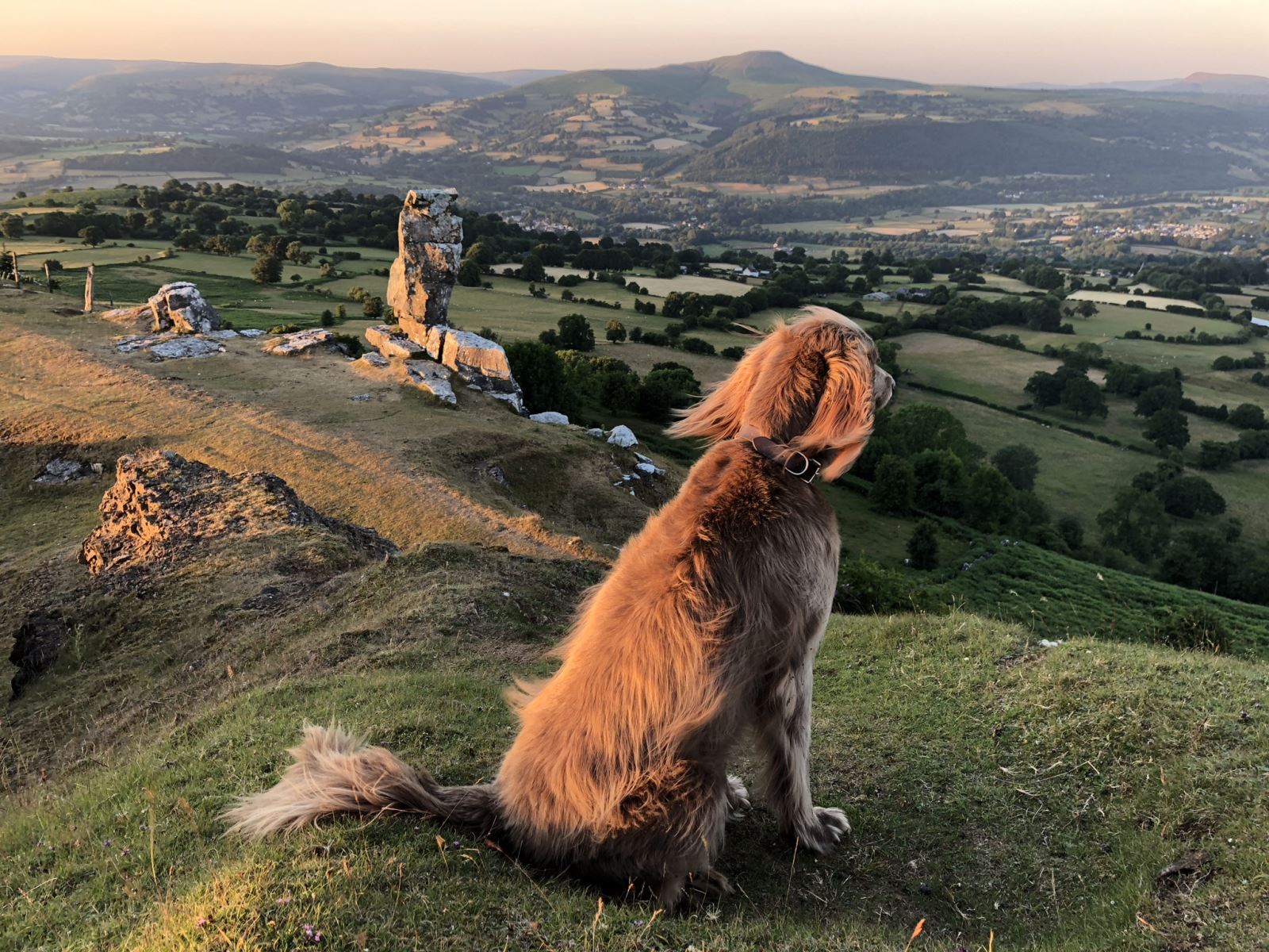 Dog friendly North (by Jade hanley)