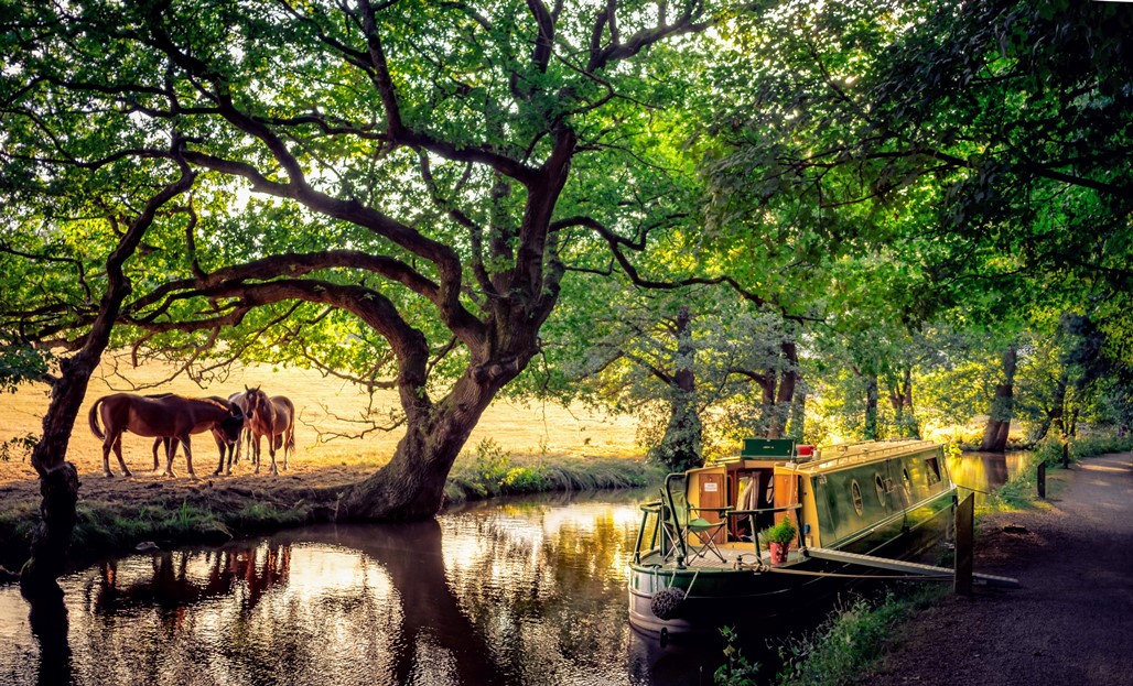 Monmouthshire and Brecon Canal