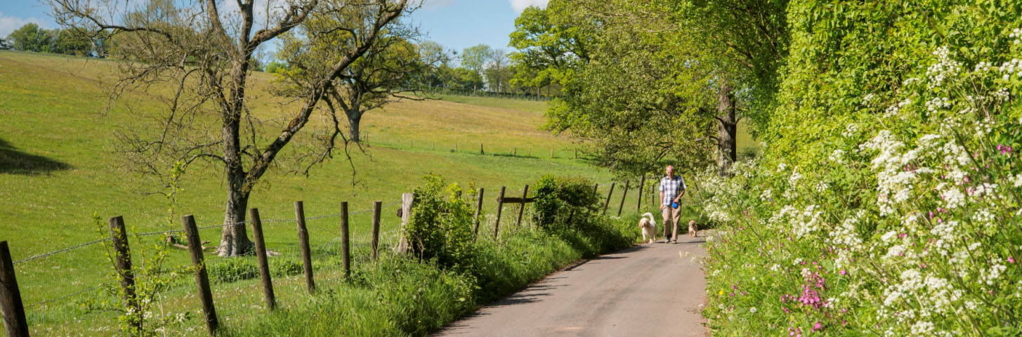 Pathcare walks in Monmouthshire - Molyneux Associates